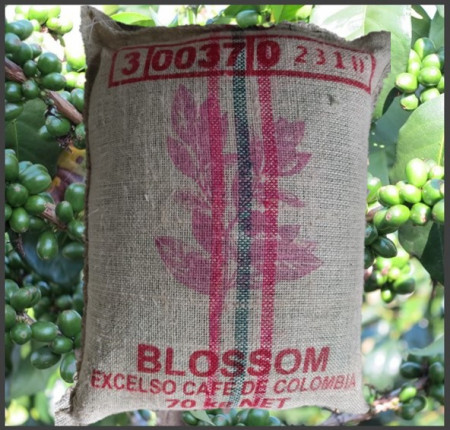 COLOMBIA Excelso Blossom EP - Green Coffee - Img 4