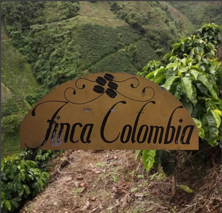 COLOMBIA Finca La Colombia Honey 140h - MICROLOT - Green Coffee - Img 3