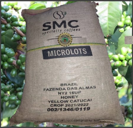 BRAZILIA Fazenda das Almas - Honey - MICROLOT - Green Coffee - Img 5