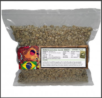 BRAZILIA Fazenda das Almas - Honey - MICROLOT - Green Coffee