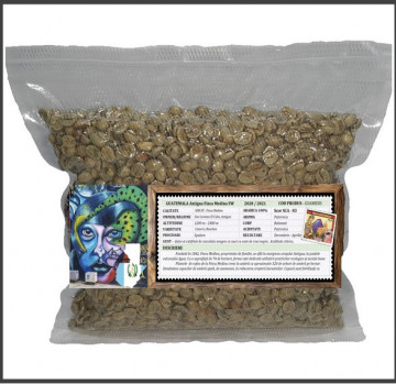 GUATEMALA Antigua Finca Medina - Green Coffee