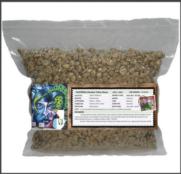 Guatemala Huehue Yellow Honey - MICROLOT - Green Coffee