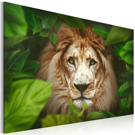 Картина - Очите на джунглата 60x40 см
