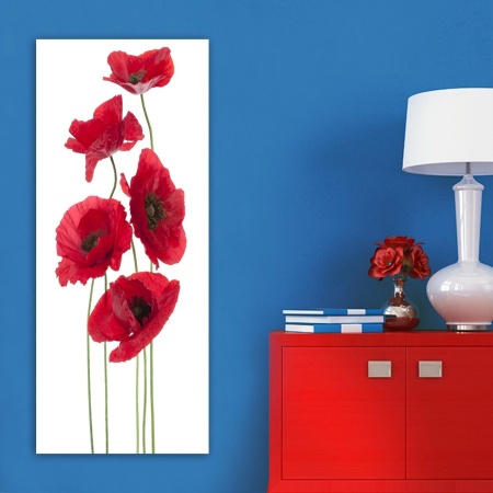 Платно за стена DKY128322 Multicolour 50x120 cm