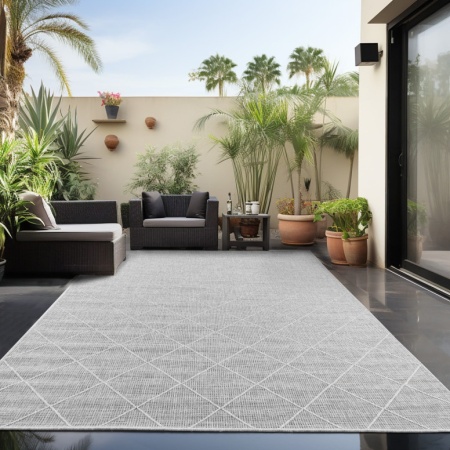 Килим Zagora V2 Grey 120 x 170cm
