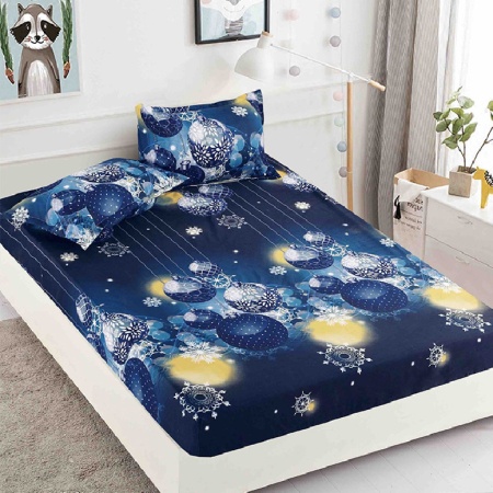 Лист с еластична лента и 2 калъфки за възглавници, Jolly V20, 180x200 см (Финет)