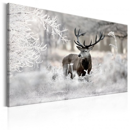 Картина - Lonely Deer 120x80 см