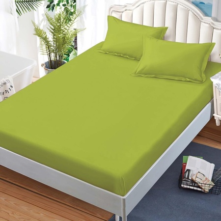 Чаршаф с ластик и 2 калъфки за възглавници Junne Light Green 180x200 cm (Finet)