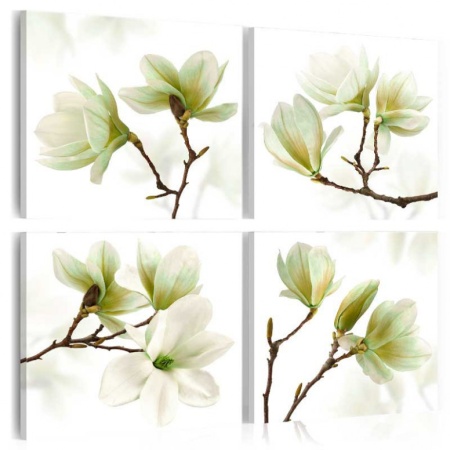 Картина - Admiration of Magnolia 90x90 см