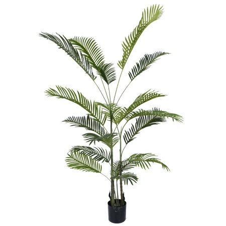 Декоративно растение Areca III в зелена пластмасова саксия PP PP H180 cm