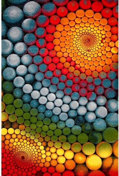 Модерен килим, Колибри Многоцветен 240x340 см