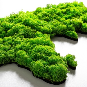 Картина от дърво с мъхове World Verde 70x32 см - Img 6