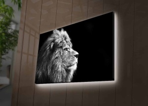 Картина с LED осветление 4570DHDACT Многоцветна 45x70 см - Img 3