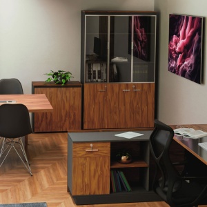 Библиотека Оскар с стъклени врати в цвят орех - анцит 120x40x200см - Img 2
