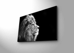 Картина с LED осветление 4570DHDACT Многоцветна 45x70 см - Img 4
