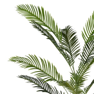 Декоративно растение Areca II в PP пластмасова саксия зелено 150 cm - Img 2