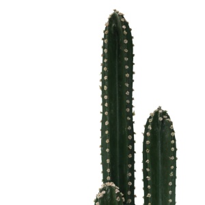 Декоративно растение Cactus III в PP пластмасова саксия зелено 85 см - Img 2