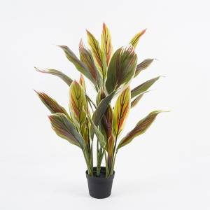 Декоративно саксийно растение Cycas Green 55x55x80 cm
