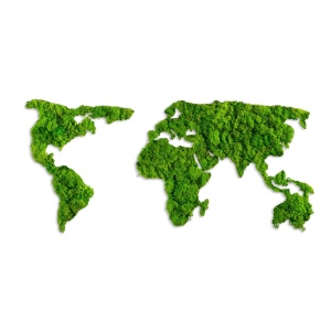 Картина от дърво с мъхове World Verde 70x32 см - Img 7