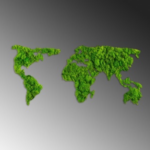 Картина от дърво с мъхове World Verde 70x32 см - Img 5