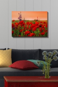 Многоцветна картина на платно 50x70x3 см