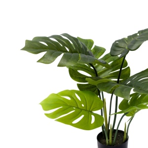 Декоративно растение Monstera в саксия зелена пластмаса PP PP H70 cm - Img 2