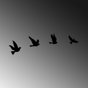 Декоративен метален аксесоар за стена Pigeons Black 18x20 cm - Img 5