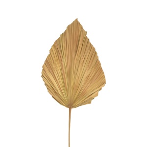 Декорация от листа Walsy Natural H135 cm - Img 2