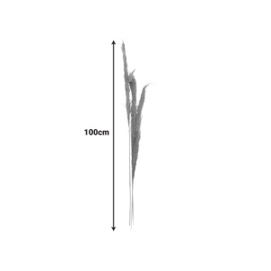 Комплект от 3 декорации за пампас Beroun Natural H140 cm - Img 3