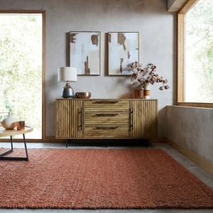 Covor Finley Teracota 200x290 cm