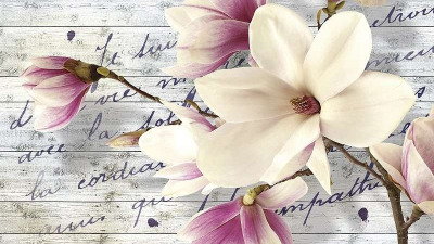 Papiers peints floraux pour un design d’intérieur unique