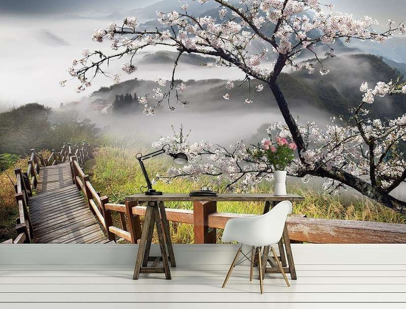 Natura