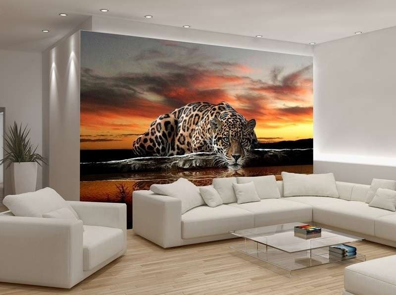 Animali