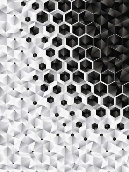 Papier peint minimaliste en noir et blanc - 10685A