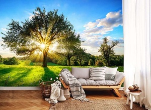 Papier Peint Panoramique XXL Nature Arbre dans un jardin d'été - Photo Murale Intissé - Img 3