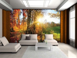 Papier Peint Panoramique XXL Nature Forêt d'automne colorée au lever du soleil - Photo Murale Intissé - Img 3