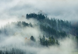 Papier peint Photo Murale Nature Montagnes et forêt dans le brouillard - 14552