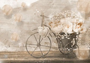 Papier Peint Photo Murale XXL Fleurs vélo rétro avec des fleurs - Intissé