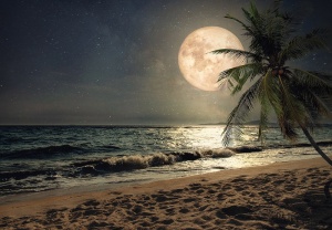 Papier Peint Panoramique XXL Mer Pleine lune sur la plage - Photo Murale Intissé