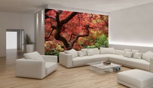 Papier Peint Panoramique XXL Nature Arbre d'automne dans un jardin de lac - Photo Murale Intissé - Img 2