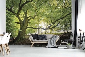 Papier Peint Panoramique XXL Nature Arbres verts dans un temps ensoleillé - Photo Murale Intissé - Img 2