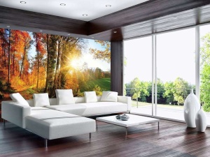 Papier Peint Panoramique XXL Nature Forêt d'automne colorée au lever du soleil - Photo Murale Intissé - Img 4