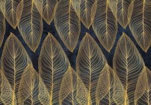 Papier peint d'art - Design simple - 13678 - Img 1