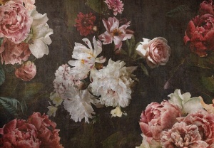 Papier peint Fleurs en blanc et rose sur fond sombre - 14527 - Img 1