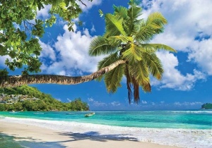 Papier Peint Panoramique XXL Mer Palmiers inclinés et hamac sur une plage paradisiaque - Photo Murale Intissé