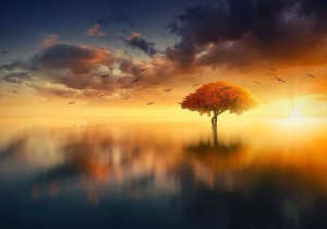 Papier Peint Panoramique XXL Nature Arbre enchanté au milieu d'un lac - Photo Murale Intissé