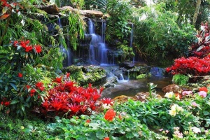 Papier Peint Panoramique XXL Nature zen - Fleurs à côté d'une petite cascade - Photo Murale Intissé - 166