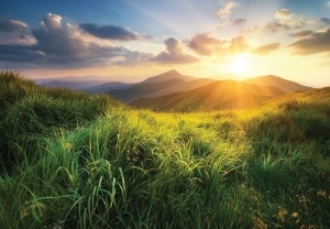 Papier peint Photo murale Nature paysage prairie montagnes -14621