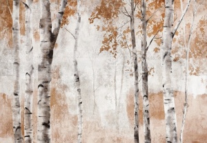 Papier Peint Panoramique XXL Nature Arbres de la forêt de bouleaux - Photo Murale Intissé
