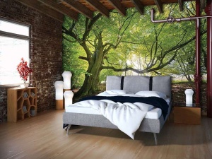 Papier Peint Panoramique XXL Nature Arbres verts dans un temps ensoleillé - Photo Murale Intissé - Img 4